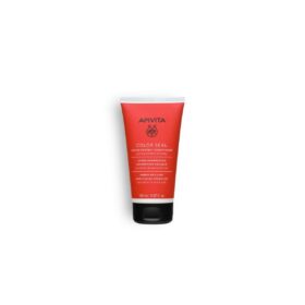 APIVITA ACONDICIONADOR SELLADOR DEL COLOR